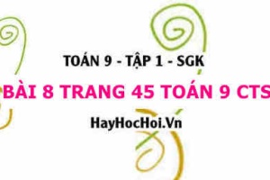 Bài 8 trang 45 Toán 9 tập 1 Chân trời sáng tạo